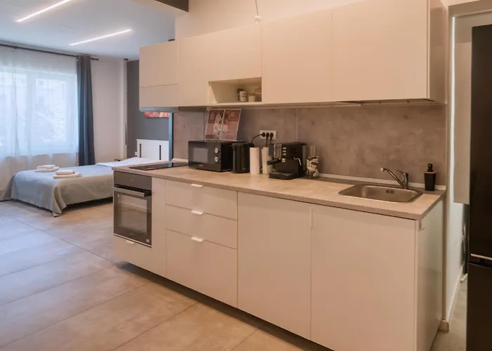 Old Town Cozy Bratianu - Pumo Apartment